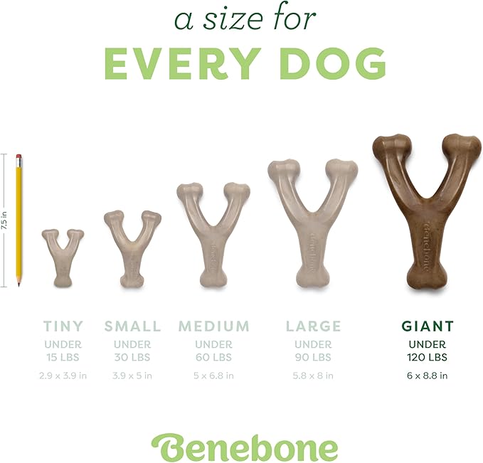 Benebone Wishbone Durable Dog Chew Toy for Aggressive Chewers, Real Chicken, Made in USA, Giant-PawvioPets