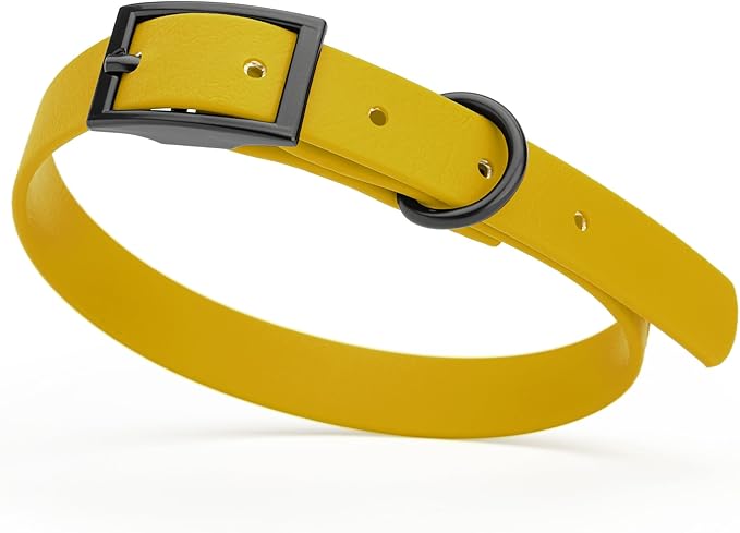 Dogline Biothane Waterproof Dog Collar Strong Coated Nylon Webbing with Black Hardware Odor- Proof for Easy Care Easy to Clean High Performance Fits Small Medium or Large Dogs, Treasure Gold-PawvioPets