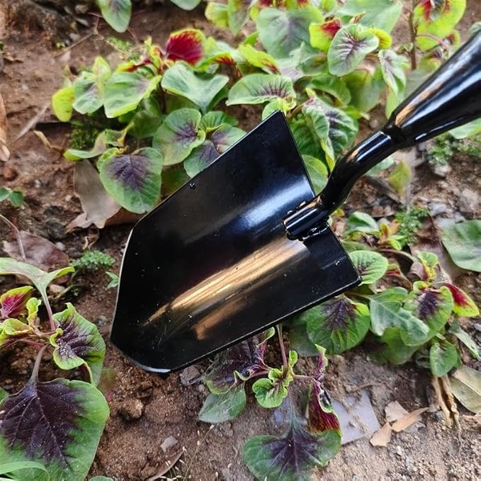 Gardening Tools – 3-in-1 Premium Garden Tool Set,Heavy Duty Pruning Shear, Trowel and Transplanter,Rust-Proof Hand Tool Set, Ideal Gardening Gifts for All (Black)-PawvioPets