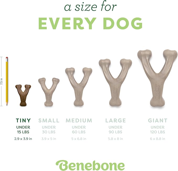 Benebone Wishbone Durable Dog Chew Toy for Aggressive Chewers, Real Bacon, Made in USA, Tiny-PawvioPets
