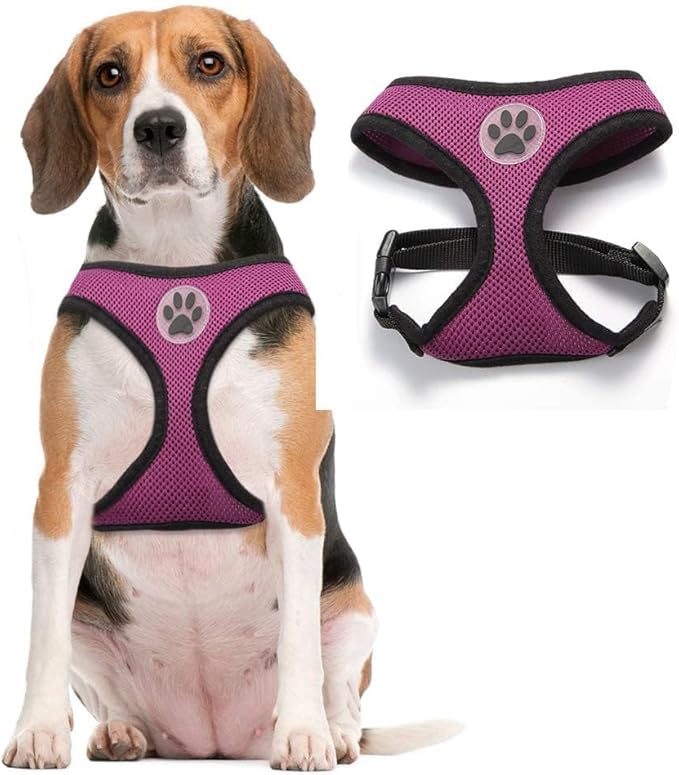 BINGPET Dog Vest Harness -Light Weight Breathable Sports Mesh - Pet Adjustable Harness Puppy Padded Harnesses Dog Vest Harness for Small Dogs-PawvioPets