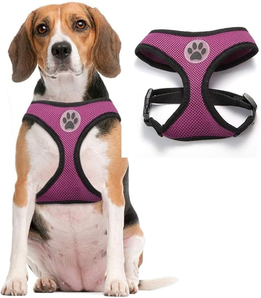BINGPET Dog Vest Harness -Light Weight Breathable Sports Mesh - Pet Adjustable Harness Puppy Padded Harnesses Dog Vest Harness for Small Dogs-PawvioPets