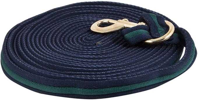 Dura-Tech Cushion Lunge Line for Horses | Stable Use & Horse Training | Horse Lunge Line with Snap | Durable Horse Lead Rope | 30 Foot Length | Replaceable Brass Snap-PawvioPets