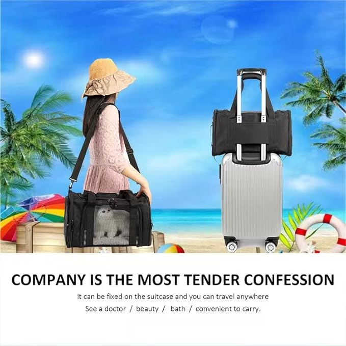 Cat Carrier Dog Carrier Pet Carrier Cat Bags for Small Medium Cats Dogs Puppies of 15 Lbs,of Airline Approved Small Dog Bag Soft Sided,Collapsible Travel Puppy Carrier (Medium, Black)-PawvioPets