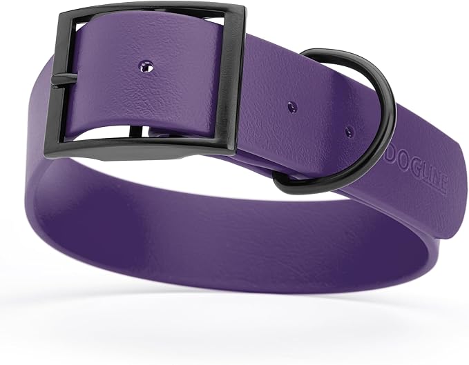 Dogline Biothane Waterproof Dog Collar Strong Coated Nylon Webbing with Black Hardware Odor- Proof for Easy Care Easy to Clean High Performance Fits Small Medium or Large Dogs, Violet Purple-PawvioPets