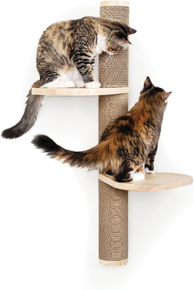 Cat Climbing Wall System – Modern Floating Shelves & Perches for Cats - Sunrise Steps | Ascentials by FurHaven-PawvioPets