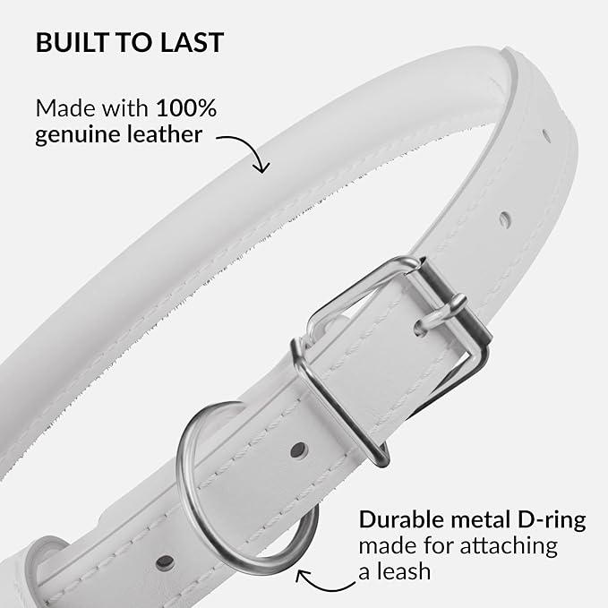CollarDirect Rolled Leather Dog Collar, Soft Padded Round Puppy Collar, Handmade Genuine Leather Collar Dog Small Large Cat Collars 13 Colors (6 Inch, White Smooth)-PawvioPets