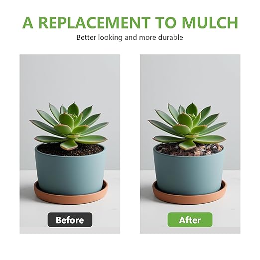 5lbs Small Rocks for Terrarium, Planters Drainage, 1/5 Inch Lava Rock for Bonsai Tree, Decorative Gravel for Succulents, Bamboo, Cactus, Mixed Color-PawvioPets