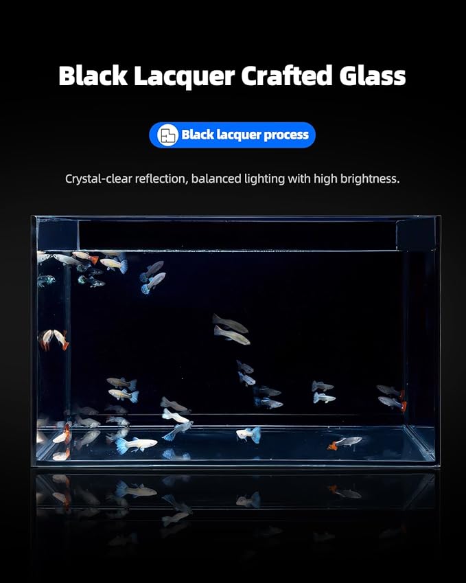 3 Gallon Clear Glass Fish Tank, Small Fish Tank Aquarium for Betta, Goldfish, Snail,Shrimp and Aquatic Planting-PawvioPets