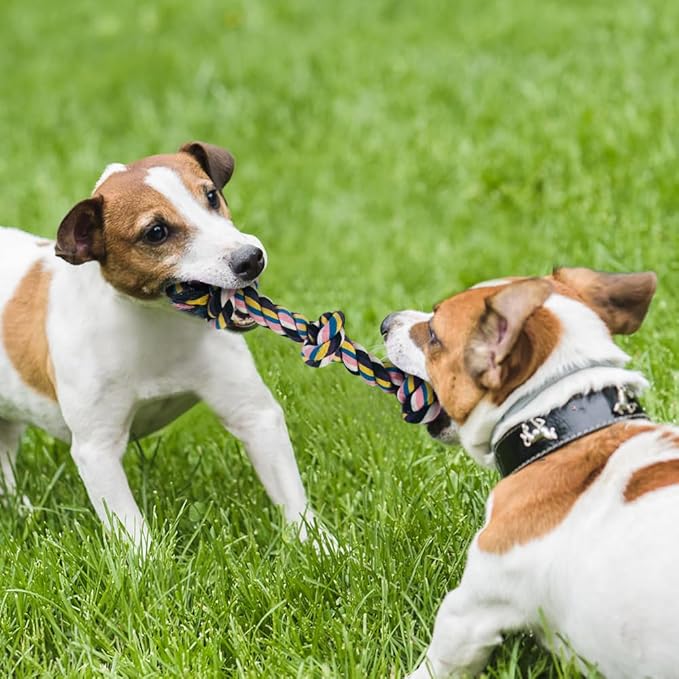 Dog Toys for Aggressive Chewers Large Medium Breed, Indestructible Dog Toothbrush Chew Toys, Squeaky Interactive Tough Extremely Durable, Dogs Toys to Keep Them Busy-PawvioPets