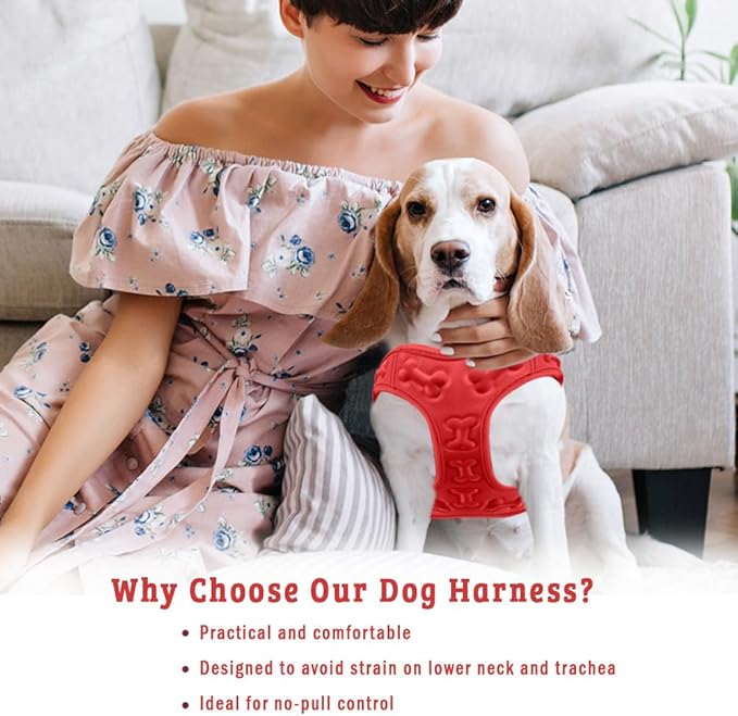 Comfort fit All Weather Step-in Dog Harness - Adjustable Small Dog Harness Medium Sized Dogs - Soft Padded Easy Walk Dog Vest Harnesses-PawvioPets