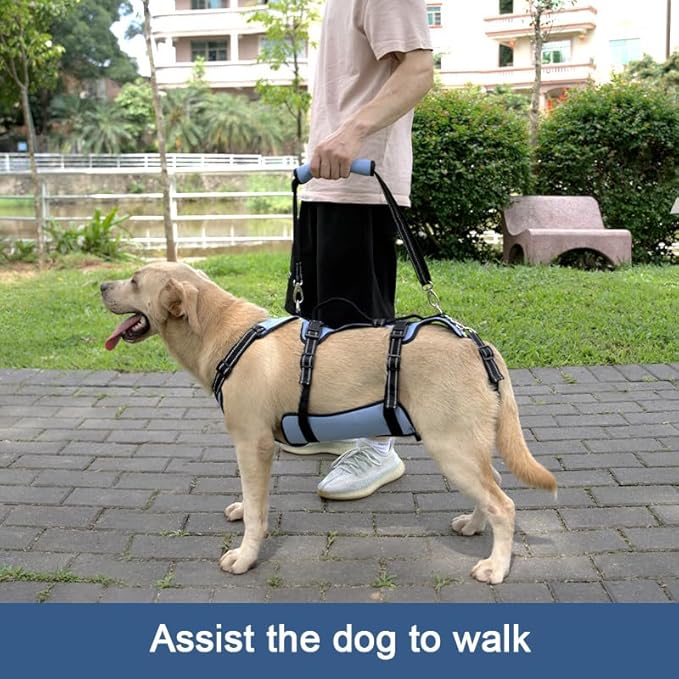 Coodeo Dog Lift Harness, Full Body Support & Recovery Sling, Pet Rehabilitation Lifts Vest for Old Dog with Arthritis Walk(Bule,L)-PawvioPets