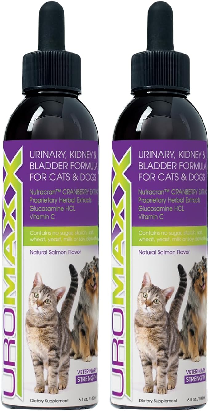Cat & Dog Urinary Tract Treatment, Bladder & Kidney Support for Dogs and Cats, Powerful Yet Gentle Pet Care, with Liquid Cranberry & Glucosamine, Salmon Flavor, 6 oz Bottle, 2 Pack-PawvioPets