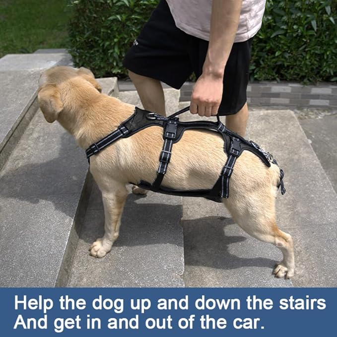 Coodeo Dog Lift Harness, Support & Recovery Sling, Pet Rehabilitation Lifts Vest Adjustable Breathable Straps for Old, Disabled, Joint Injuries, Arthritis, Paralysis Dogs Walk (Black,XL)-PawvioPets