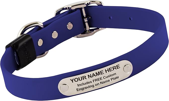 Biothane Custom Dog Collar – Waterproof, Stink-Proof Personalized Collar with Name & Phone Number – Durable, Many Sizes and Colors – Assembled in USA (Royal Blue)-PawvioPets