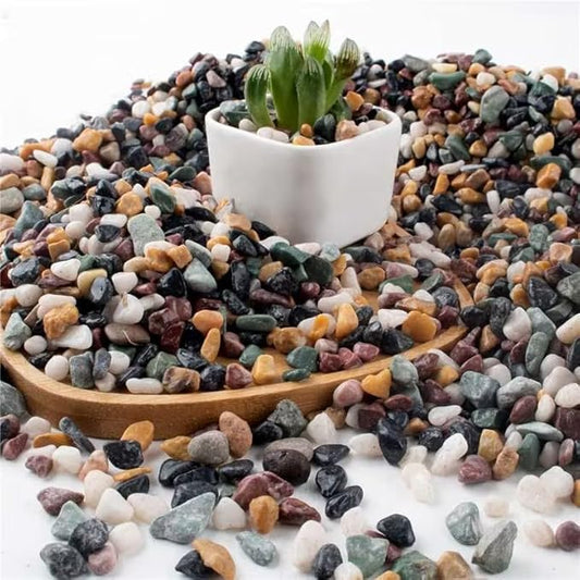 AVALUTION Aquarium Gravel for Plants -7lb Fish Tank Gravel for Succulent Cactus & Bonsai, 1/4Inch Decorative River Rocks Pebbles for Gardening, Flower Pots, Landscaping, Terrarium-PawvioPets