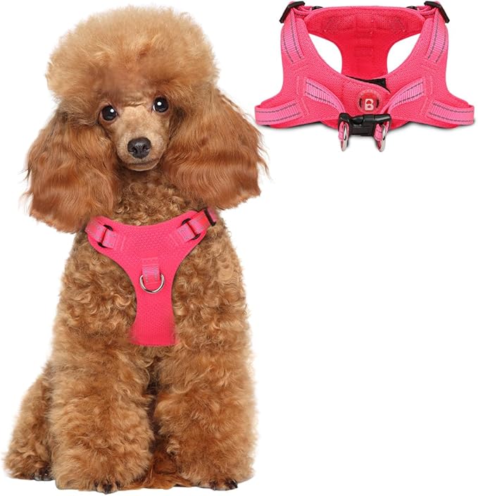 Dog Harness Step in Dog Vest Harness, Reflective Adjustable Puppy No Pull Harness Breathable Soft for Small and Medium Dogs Cats, Pink, XS-PawvioPets