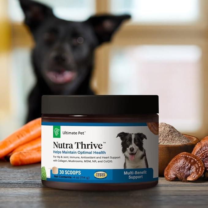 Ultimate Pet Nutrition Nutra Thrive Canine, 40-in-1 Nutritional Powder Supplement for Dogs with Digestion and Immune Support, Vitamins, Minerals, Probiotics, Enzymes, 30 Scoops-PawvioPets