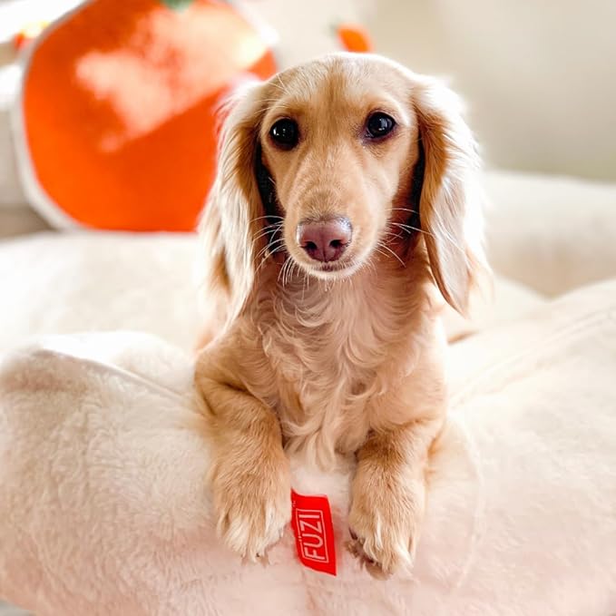 FUZI Luxury Aesthetic Dog Bed for Medium Dogs with Washable Cover, Pet Couch, Pet Bed with Sides, Non-Slip Bottom, Soft and Durable Calming Dog Bed, Faux Rabbit Fur, Medium 31.75x23.6x9.5 Soft White-PawvioPets