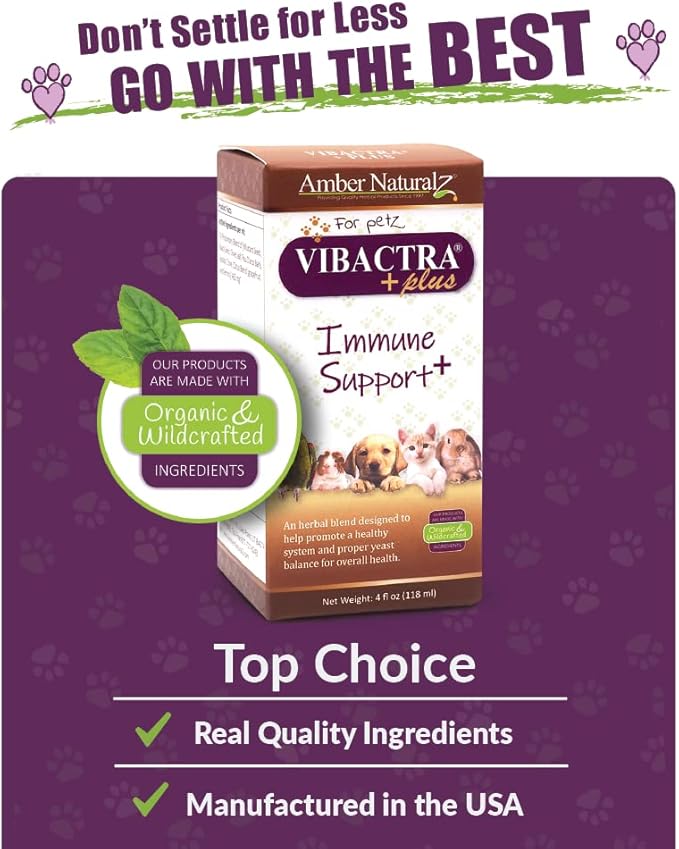 Amber NaturalZ Vibactra Plus Herbal Supplement for Dogs, Cats, Birds, Guinea Pigs, and Rabbits | Herbs for Immune Health and Yeast Balance | 4 Fluid Ounce Glass Bottle-PawvioPets
