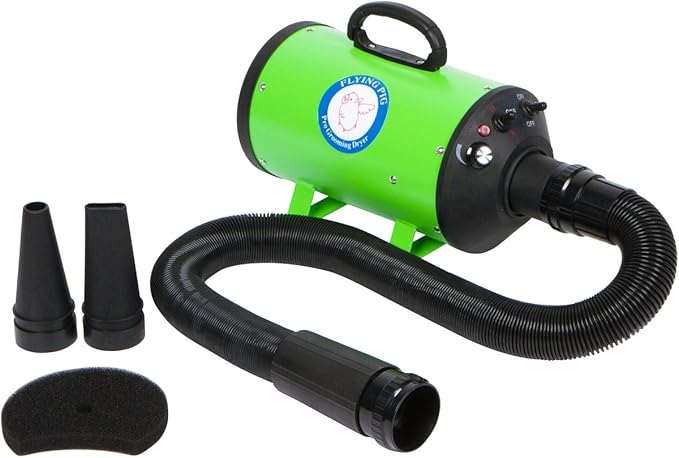 Flying Pig High Velocity Dog Pet Grooming Dryer w/Heater (Model: Flying One, Green)-PawvioPets