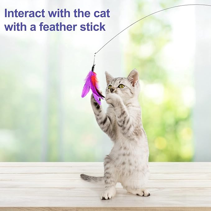 Cat Feather Toys Interactive Cats - Dorakitten Cat Powerful Suction Cup Handheld Teaser Wand Toy and 5PCS Replacement Feather with Bell for Kitty Kitten Scratching Exercise Indoor-PawvioPets