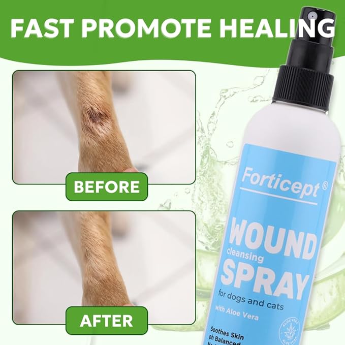 Forticept Hot Spot Spray for Dogs Cats & Horses, Itch Relief Wound Cleanser with Aloe Vera, 8 oz-PawvioPets