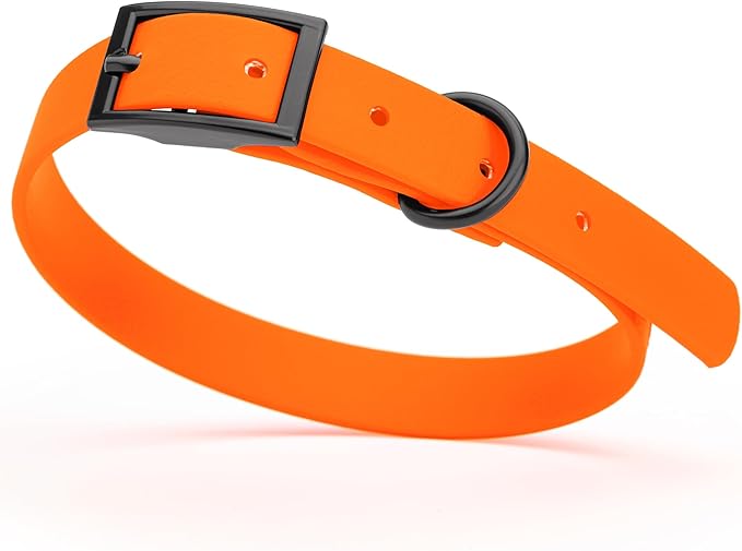 Dogline Biothane Waterproof Dog Collar Strong Coated Nylon Webbing with Black Hardware Odor- Proof for Easy Care Easy to Clean High Performance Fits Small Medium or Large Dogs, Hunter Orange-PawvioPets