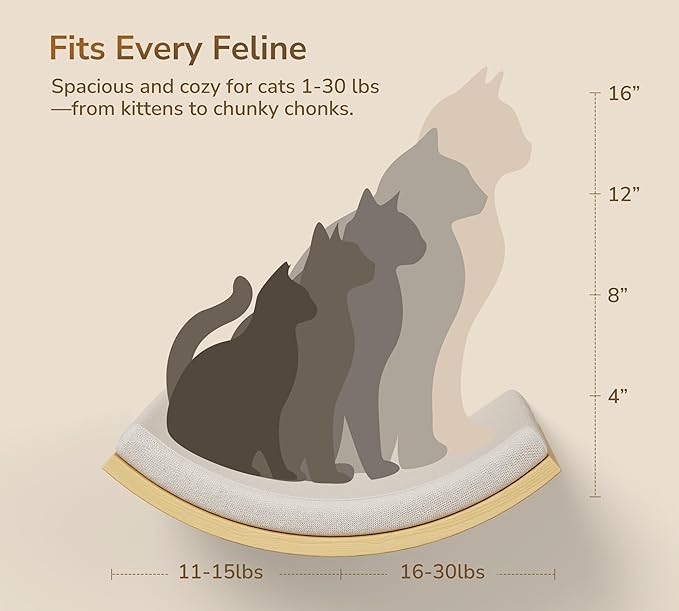 4-Piece Cats Wall Furniture with Cat Window Perch – Wood Wall Mounted Cat Shelves Set with Foam-Padded Curved Bed, Flat Perch & 4-Step Cats Stairs-PawvioPets