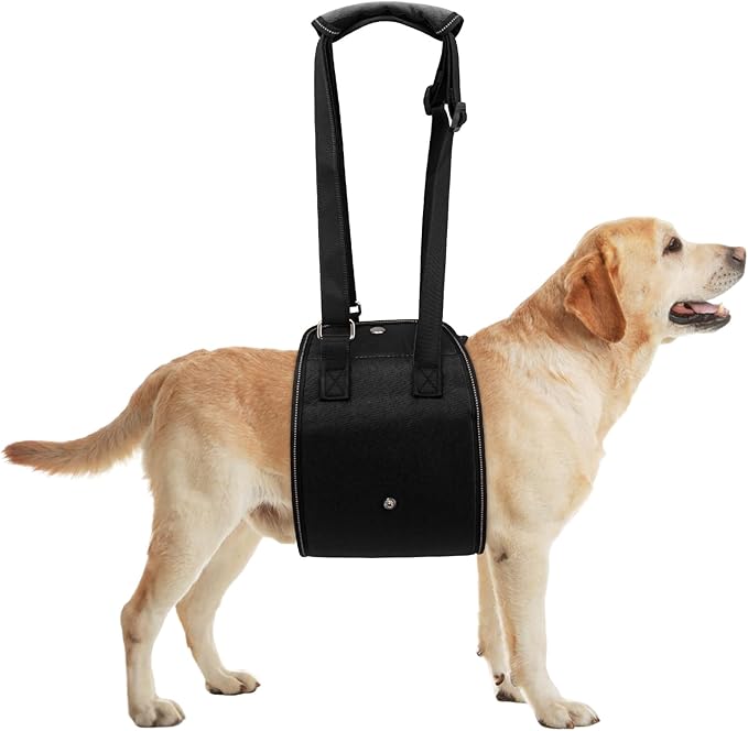 Dog Lift Harness Dog Sling for Large Dogs, Portable Dog Carrier Sling for Back Legs, Ajustable Hip Support Harness for Weak Rear Leg, Assist Senior Disabled Joint Injuried and After ACL-PawvioPets