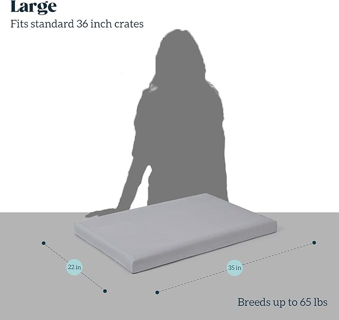 Cybarmour Indestructible Dog Bed - Outdoor Waterproof Chew Proof Dog Crate Pad - Orthopedic Kennel Mat for Aggressive Chewers - Large Breeds & Fits 36-Inch Crate - 35"x22", Limestone-PawvioPets