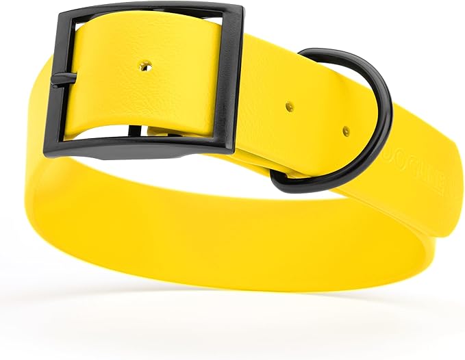 Dogline Biothane Waterproof Dog Collar Strong Coated Nylon Webbing with Black Hardware Odor- Proof for Easy Care Easy to Clean High Performance Fits Small Medium or Large Dogs, Lemon Yellow-PawvioPets