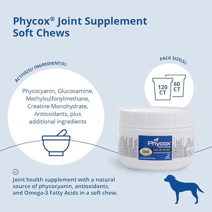 Canine Joint Support, 60 Soft Chews-PawvioPets