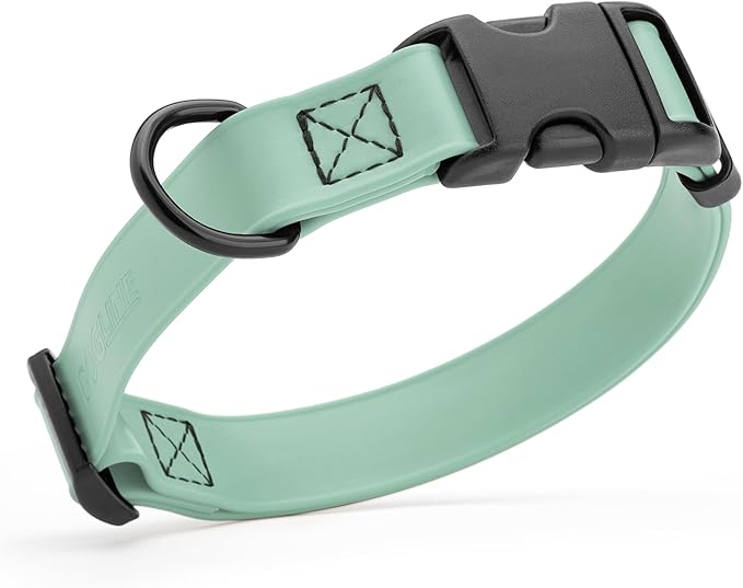 Dogline Biothane Waterproof Dog Collar with Quick Release Buckle Strong Coated Nylon Webbing with Odor- Proof for Easy Care Easy to Clean Fits Small Medium Large Dogs, Sage Green 3/4" W 12-19" L-PawvioPets