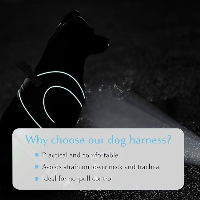 Comfort Fit Dog Harness Soft Padded No Pull Harness with Adjustable Buckles for Small Medium Large Dogs Step in Pet Vest with Easy Control Handle for Walking Jogging Running Training Dogs & Puppies-PawvioPets