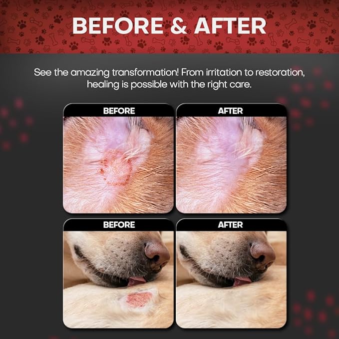 2% Chlorhexidine Wipes for Dogs 3X Larger | Yeast Infection Ringworm Fungus Hot Spot Itch Relief | Medicated Antibacterial Antifungal Extra Gentle Soothing Topical Wipes for Dog Cat | 50 Wipes-PawvioPets