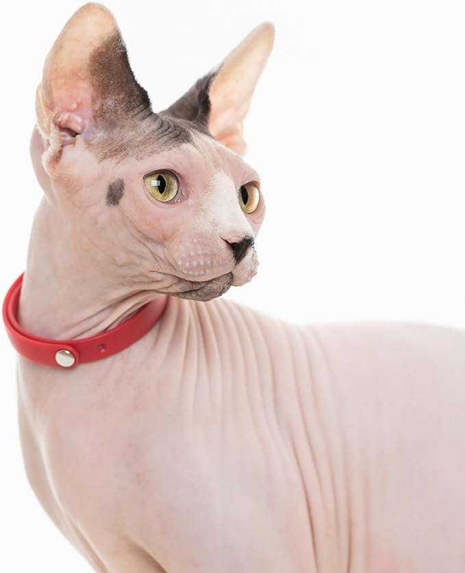 Cat Collar 2 Pack - Soft, Comfortable, and Lightweight Safety Breakaway Collar with Name Tag Ring for Outdoor Cats and Sensitive Skin Kittens by Nuvuq (6 ⅞" to 10 ¼", Red)-PawvioPets