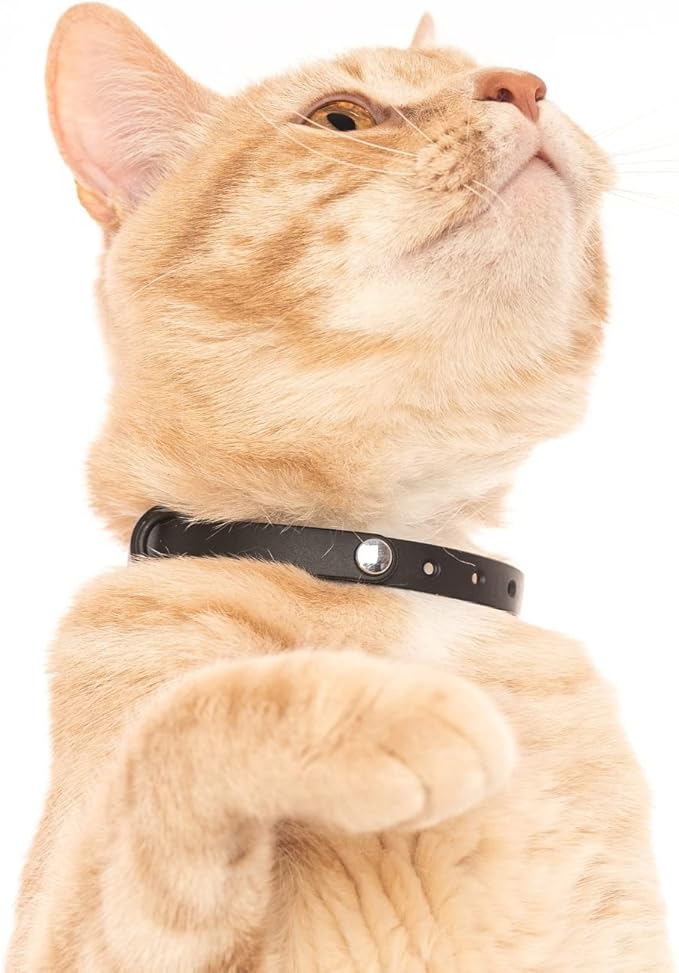 3 Pack Breakaway Cat Collar - Soft, Comfortable, and Lightweight Safety Buckle Collar with Name Tag Ring for Outdoor Cats and Sensitive Skin Kittens by Nuvuq (6 ⅞" to 10 ¼", Blue, Pink and Black)-PawvioPets