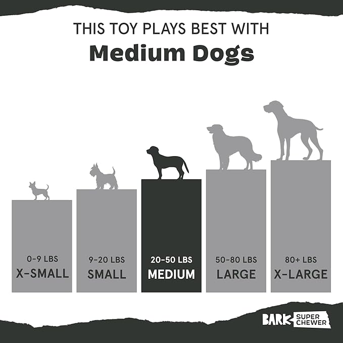 Barkbox Super Chewer Rad Herring Hard Core Toy with Rip Away Plush for Aggressive Chewers, Medium-PawvioPets