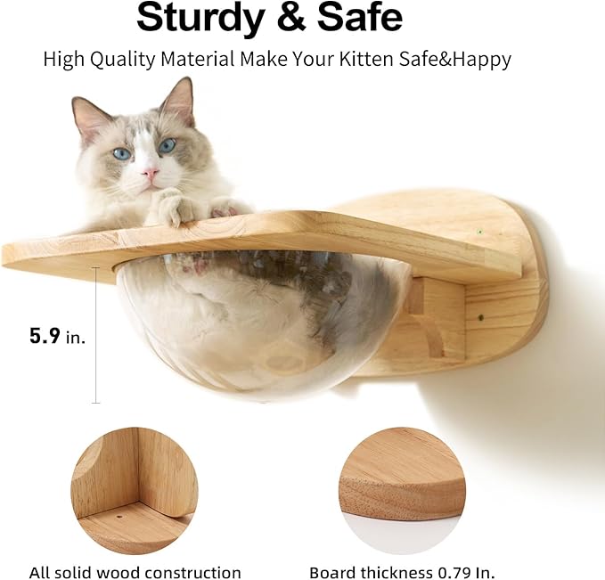 FUKUMARU Cat Wall Furniture Set, Transparent Capsule Kitten Walls Shelves with 2 PCS Pedals - Premium Kitty Bed for Sleeping, Playing, Climbing, and Lounging - Easily Holds Up to 35 Lbs-PawvioPets