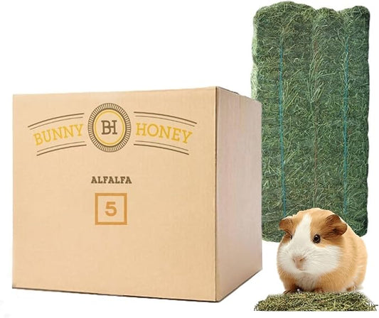Bunny Honey Organic Alfalfa Hay for Guinea Pigs 12 lb Dim wt/5 lb High-Protein & Calcium, Supports Growth & Dental Health, Fresh & Nutritious-PawvioPets