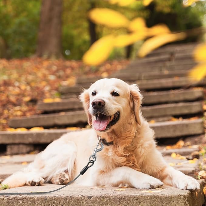 BV Dog Tie Out Cable 25 Feet - Heavy Duty Dog Lead Up to 250 Pounds - Reflective & Rust-Free with Quick Release Swivel Clips & 360° Rotating Clasp - Tangle-Free Dogs Runner for Yard (Grey, Pair)-PawvioPets