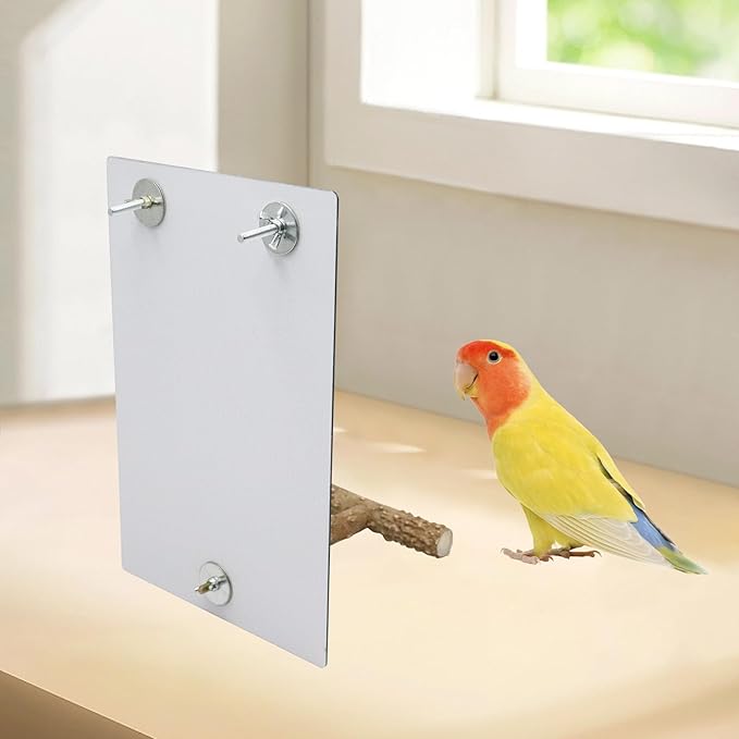 Bird Mirror Toy with Perch Stand, Parrot Parakeet Mirror with Bird Swing Bell Toys, Bird Cage Accessories, Suitable for Parakeet Cockatiel Conure Lovebirds - 7.9 × 6.3 Inch-PawvioPets
