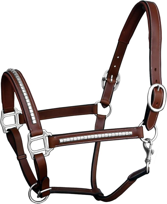Exion Leather Horse Halter with Padding & Clincher Studs – Adjustable Quick‑Release Crownpiece Halter for Horses – Vegetable‑Tanned Leather in Black & Brown – Cob, Full & Oversize-PawvioPets