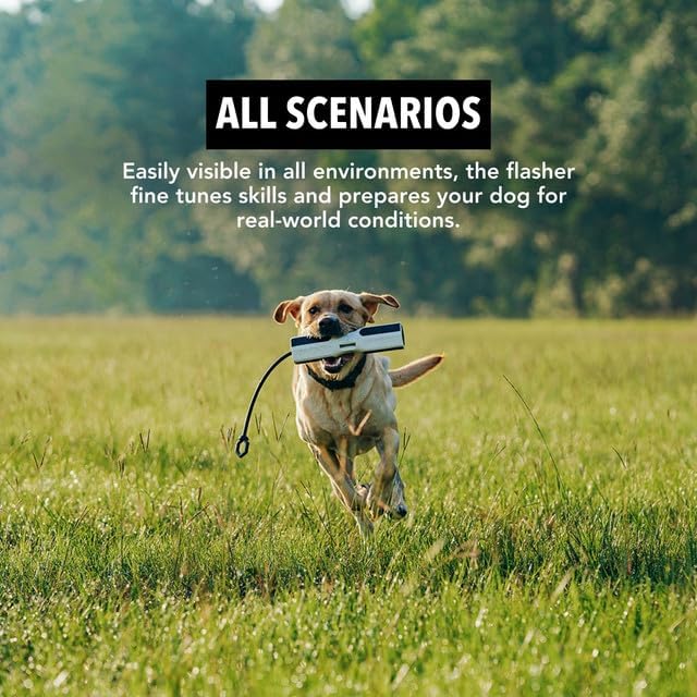 Dog Training Bumper - Retriever Training Dummy, Retrieving Dummies for Pets, Bumpers for Water Retrieving with Adjustable Rope, (Flasher)-PawvioPets