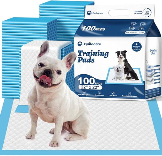 100 Count 22” x 22” Disposable Dog Pee Pads, Super Absorbent Leakproof Puppy Pads Quick Drying, Pee Pads for Dogs, Potty Dog Training Pads-PawvioPets