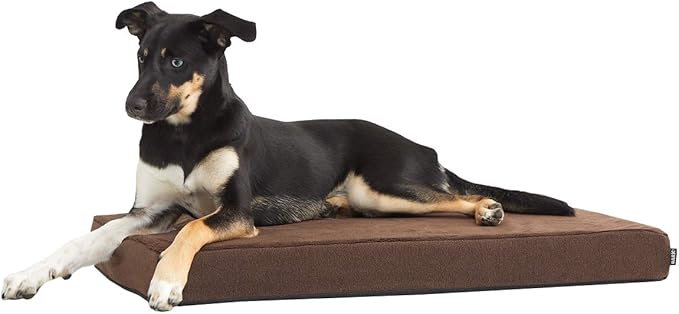 Barkbox Orthopedic Dog Bed with Memory Foam, Premium Comfort for Dogs and Puppies, Dog Bed for Joint Relief and Restful Sleep, Durable and Easy to Clean - Espresso, Medium-PawvioPets