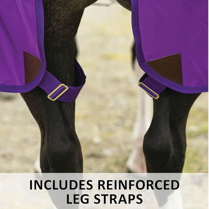 Dura-Nylon Horse Stable Sheet | Ultimate Comfort & Protection Horse Sheet | Keeps Coats Smooth & Shiny-PawvioPets
