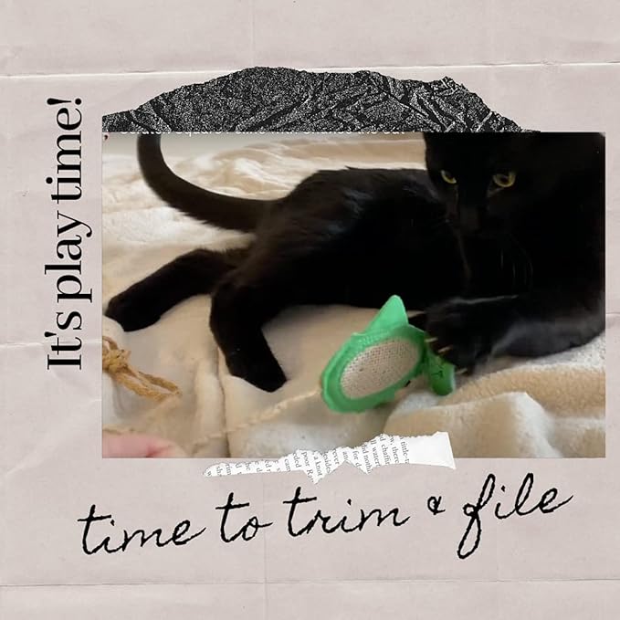 De' Vora Cat Scratcher Toy - Scratch, Play & File - Catnip Toys for Scratching Post - Cat-PawvioPets