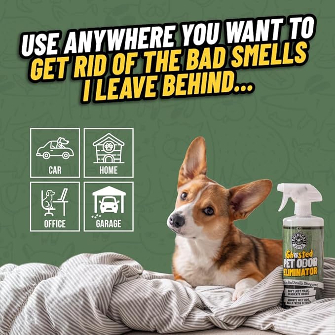 Ghosted Pet Odor Eliminator, Refresh Your Home, Car, Office, & More, from Chemical Guys (32 Fl Oz) - Fresh Citrus Scent - PCS10232-PawvioPets